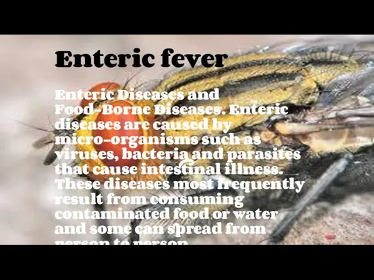 Enteric Diseases and Food-Borne Diseases. Enteric diseases are caused by micro-organisms such as