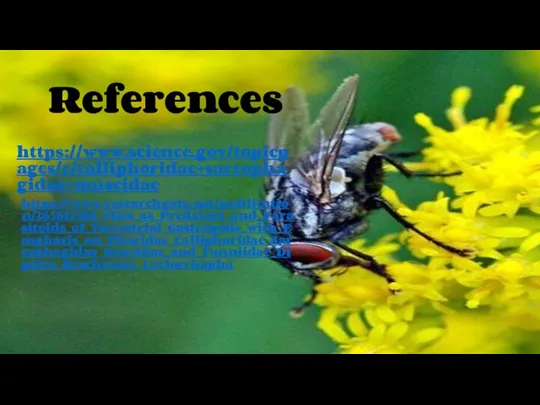 References https://www.science.gov/topicpages/c/calliphoridae+sarcophagidae+muscidae https://www.researchgate.net/publication/265612586_Flies_as_Predators_and_Parasitoids_of_Terrestrial_Gastropods_with_Emphasis_on_Phoridae_Calliphoridae_Sarcophagidae_Muscidae_and_Fanniidae_Diptera_Brachycera_Cyclorrhapha