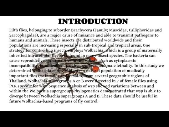 Filth flies, belonging to suborder Brachycera (Family; Muscidae, Calliphoridae and Sarcophagidae), are a