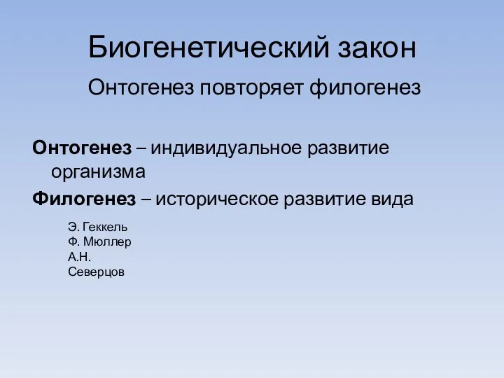 Биогенетический закон Онтогенез повторяет филогенез Онтогенез – индивидуальное развитие организма Филогенез – историческое