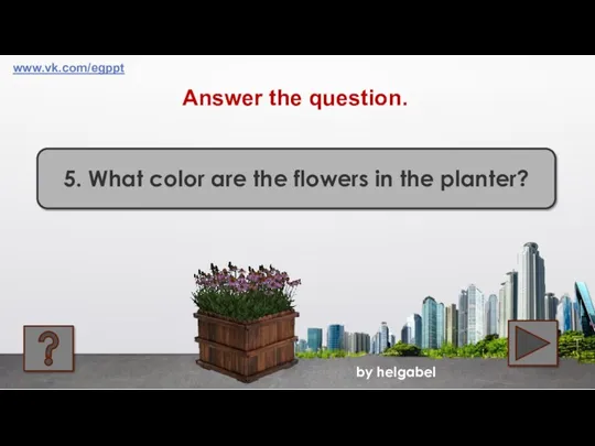 by helgabel 5. What color are the flowers in the planter? Answer the question. www.vk.com/egppt