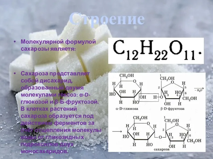 Строение Молекулярной формулой сахарозы являетя: Сахароза представляет собой дисахарид, образованный