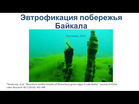 Эвтрофикация побережья Байкала Листвянка, 2014 *Kravtsova, et al. "Nearshore benthic