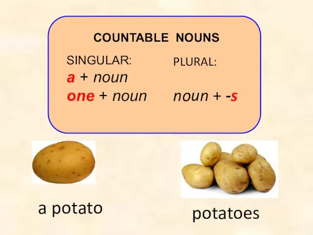 SINGULAR: a + noun one + noun PLURAL: noun + -s COUNTABLE NOUNS potatoes a potato