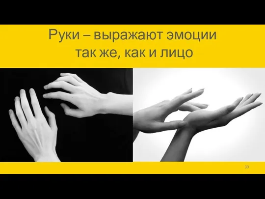 Руки – выражают эмоции так же, как и лицо