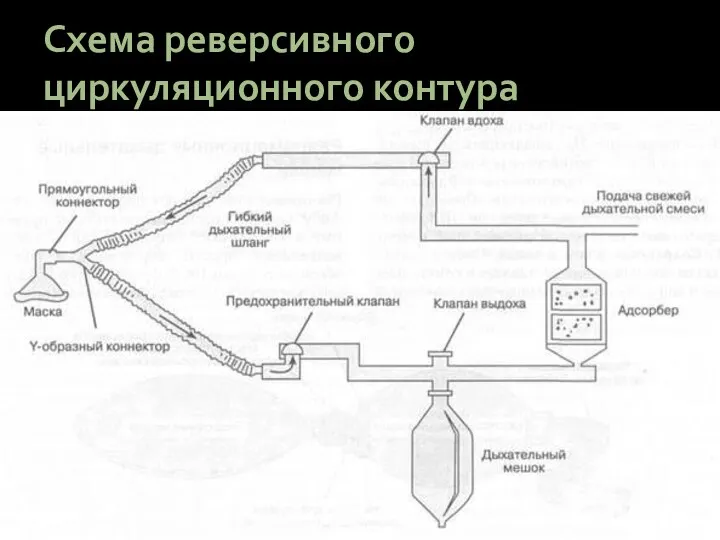 Схема реверсивного циркуляционного контура