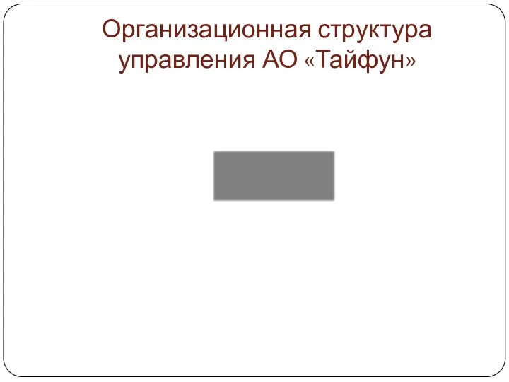 Организационная структура управления АО «Тайфун»