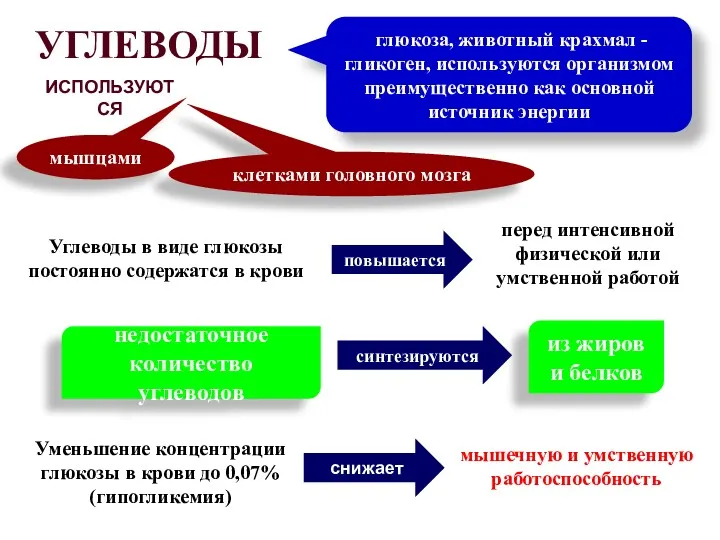 мышечную и умственную работоспособность УГЛЕВОДЫ ИСПОЛЬЗУЮТСЯ Углеводы в виде глюкозы