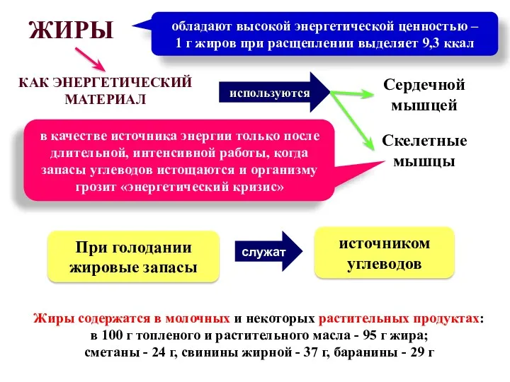 Жиры содержатся в молочных и некоторых растительных продуктах: в 100