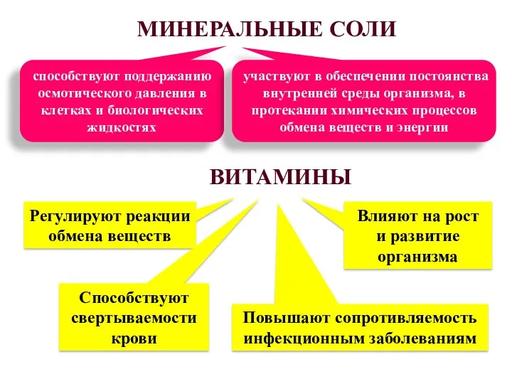 МИНЕРАЛЬНЫЕ СОЛИ способствуют поддержанию осмотического давления в клетках и биологических