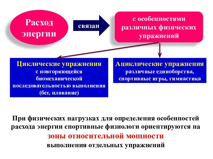 Циклические упражнения с повторяющейся биомеханической последовательностью выполнения (бег, плавание) Ациклические