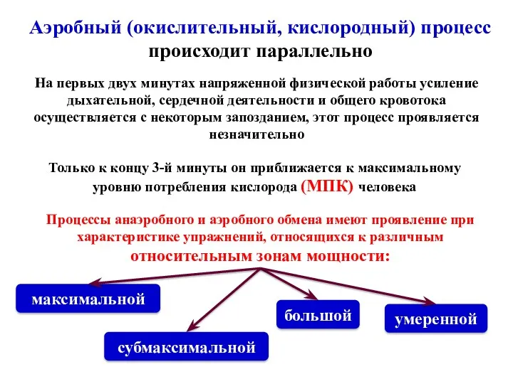 Процессы анаэробного и аэробного обмена имеют проявление при характеристике упражнений,