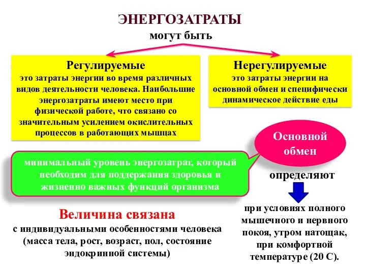 Величина связана с индивидуальными особенностями человека (масса тела, рост, возраст,