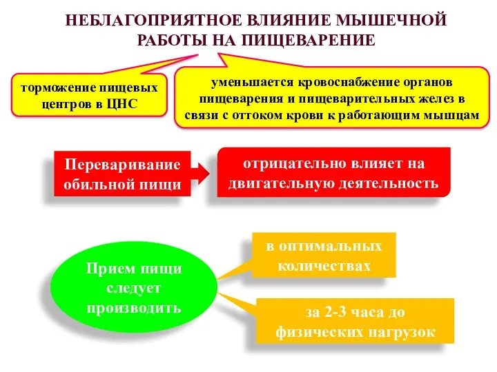 НЕБЛАГОПРИЯТНОЕ ВЛИЯНИЕ МЫШЕЧНОЙ РАБОТЫ НА ПИЩЕВАРЕНИЕ торможение пищевых центров в