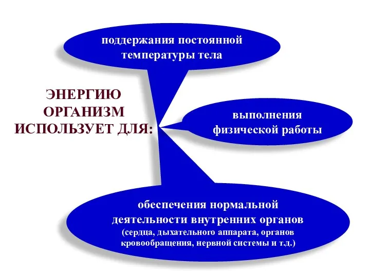 ЭНЕРГИЮ ОРГАНИЗМ ИСПОЛЬЗУЕТ ДЛЯ: поддержания постоянной температуры тела обеспечения нормальной