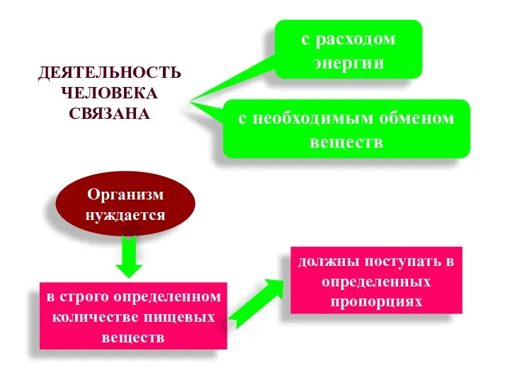 ДЕЯТЕЛЬНОСТЬ ЧЕЛОВЕКА СВЯЗАНА с расходом энергии с необходимым обменом веществ