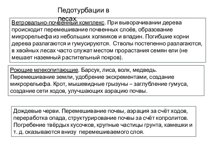 Педотурбации в лесах Ветровально-почвенный комплекс. При выворачивании дерева происходит перемешивание