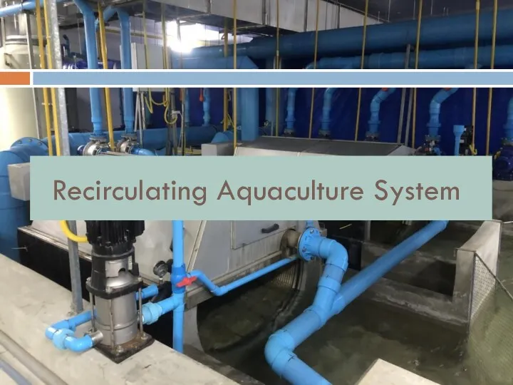 Recirculating Aquaculture System