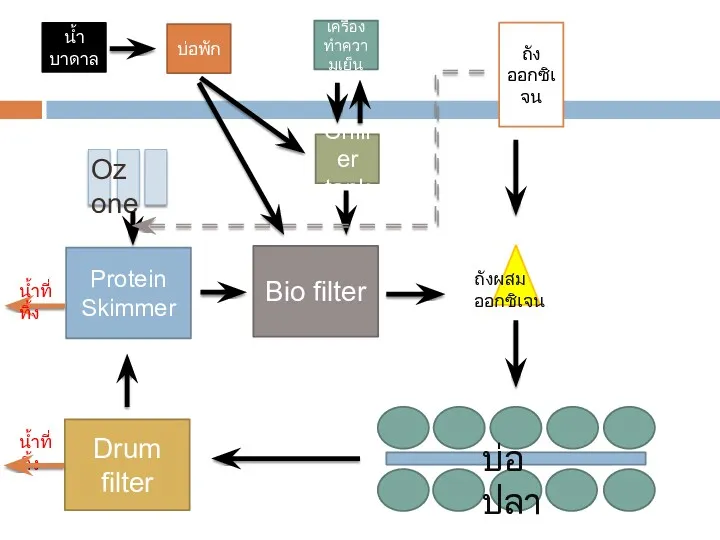 Chiller tank น้ำบาดาล เครื่องทำความเย็น บ่อพัก Bio filter Protein Skimmer Drum filter ถังออกซิเจน Ozone