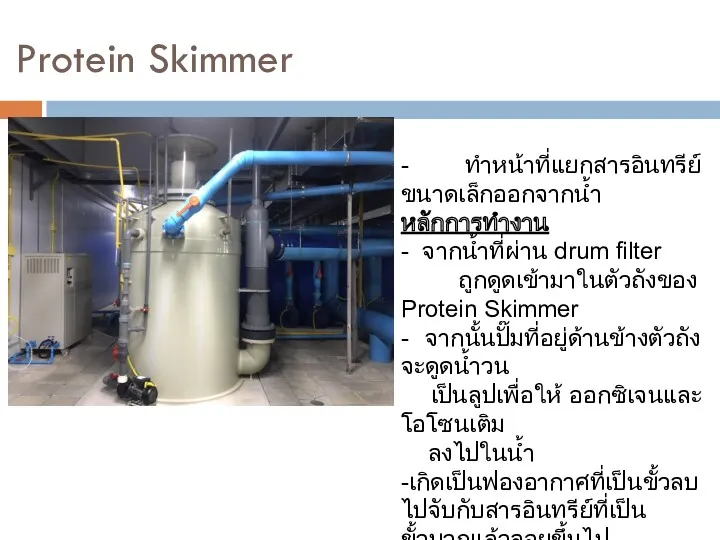 Protein Skimmer - ทำหน้าที่แยกสารอินทรีย์ขนาดเล็กออกจากน้ำ หลักการทำงาน - จากน้ำที่ผ่าน drum filter ถูกดูดเข้ามาในตัวถังของ