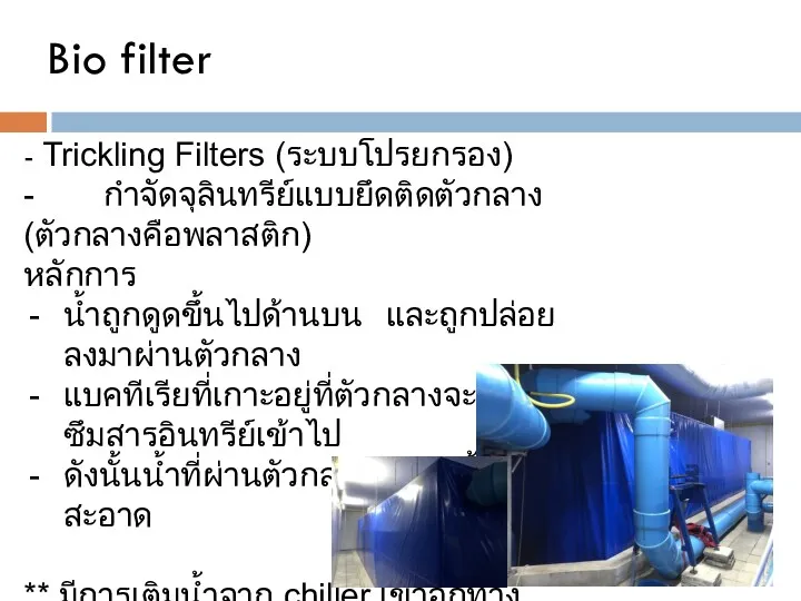 Bio filter - Trickling Filters (ระบบโปรยกรอง) - กำจัดจุลินทรีย์แบบยึดติดตัวกลาง (ตัวกลางคือพลาสติก) หลักการ