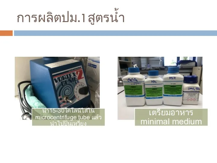 การผลิตปม.1สูตรน้ำ