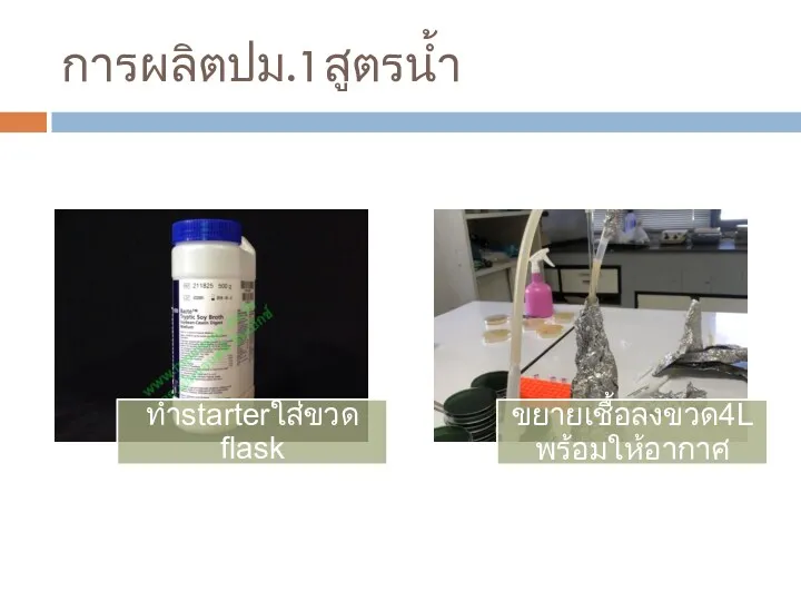 การผลิตปม.1สูตรน้ำ