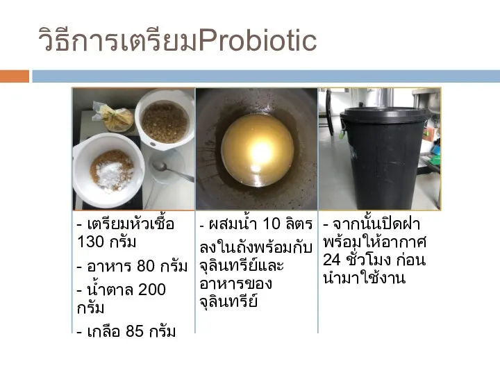 วิธีการเตรียมProbiotic