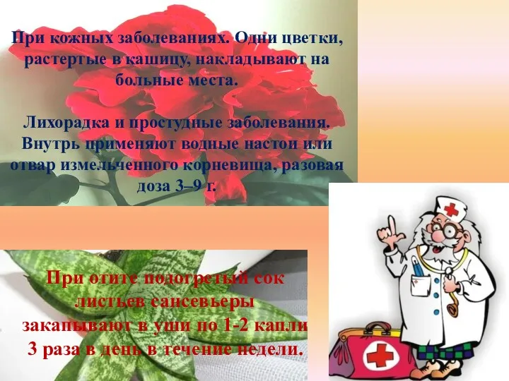 При кожных заболеваниях. Одни цветки, растертые в кашицу, накладывают на