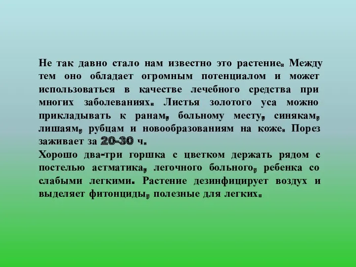 Не так давно стало нам известно это растение. Между тем оно обладает огромным