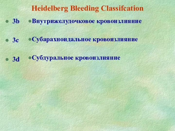 Heidelberg Bleeding Classifcation 3b 3c 3d Внутрижелудочковое кровоизлияние Субарахноидальное кровоизлияние Субдуральное кровоизлияние