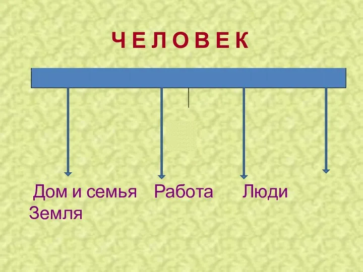 Ч Е Л О В Е К Дом и семья Работа Люди Земля