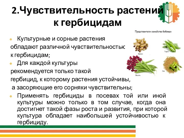 2.Чувствительность растений к гербицидам Культурные и сорные растения обладают различной