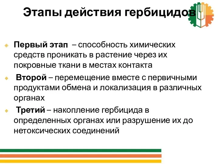 Этапы действия гербицидов Первый этап – способность химических средств проникать