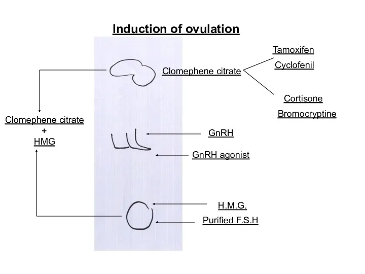 Induction of ovulation GnRH GnRH agonist Clomephene citrate + HMG Purified F.S.H H.M.G.