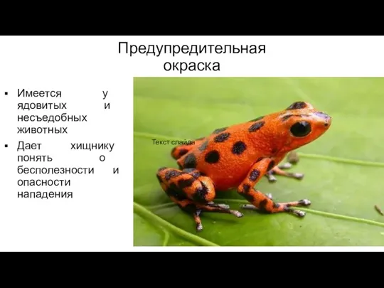 Предупредительная окраска Текст слайда Имеется у ядовитых и несъедобных животных Дает хищнику понять