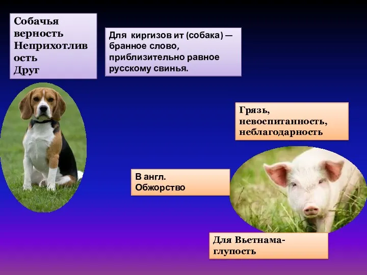 Собачья верность Неприхотливость Друг Для киргизов ит (собака) — бранное