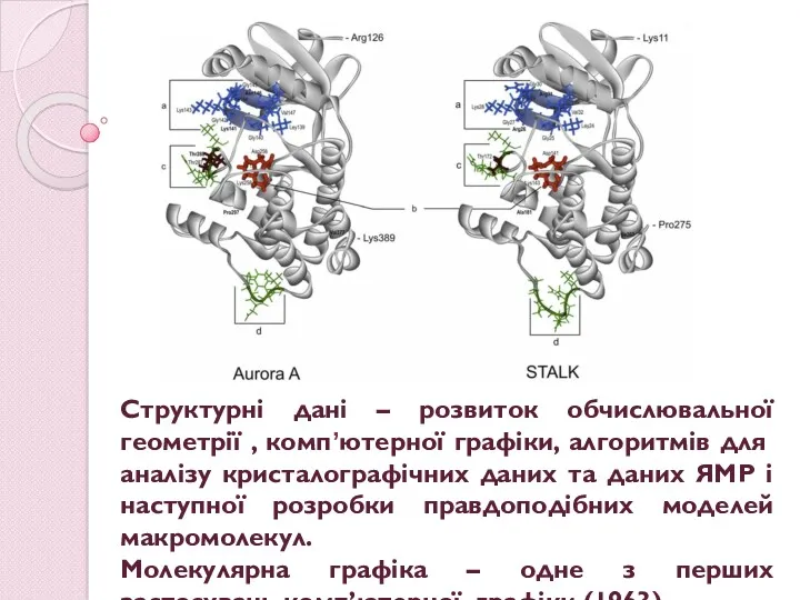 Структурні дані – розвиток обчислювальної геометрії , комп’ютерної графіки, алгоритмів