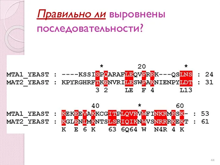 Правильно ли выровнены последовательности?