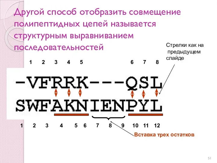 Другой способ отобразить совмещение полипептидных цепей называется структурным выравниванием последовательностей Стрелки как на предыдущем слайде