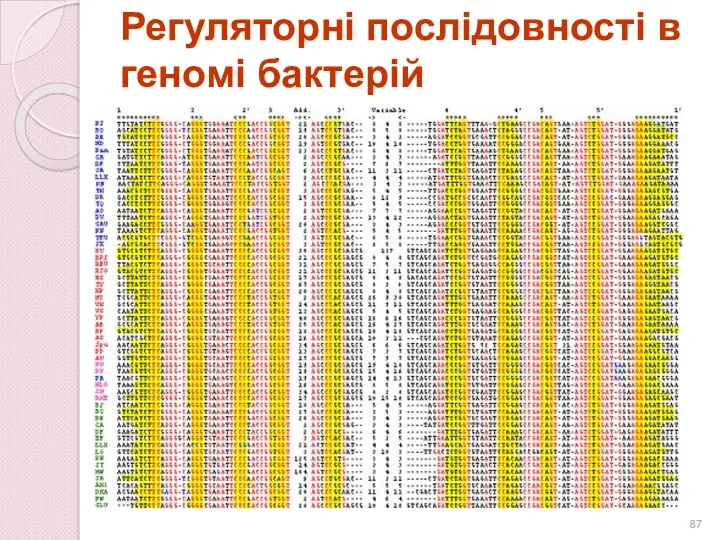 Регуляторні послідовності в геномі бактерій