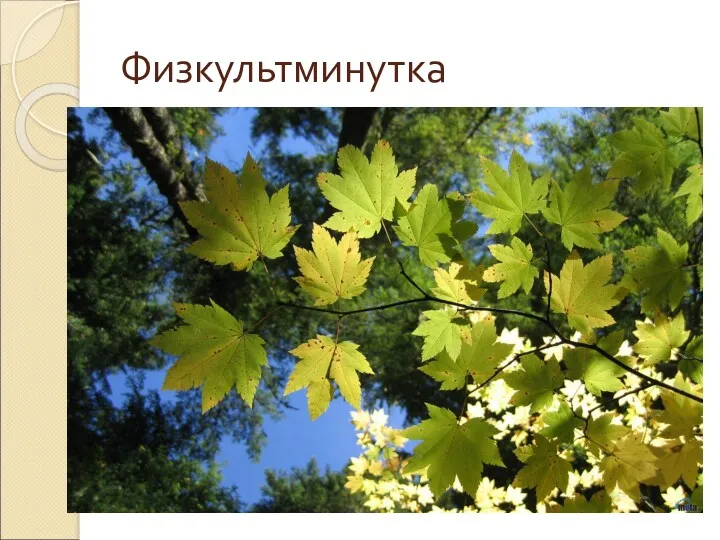 Физкультминутка