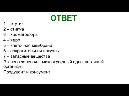 ОТВЕТ 1 – жгутик 2 – стигма 3 – хроматофоры