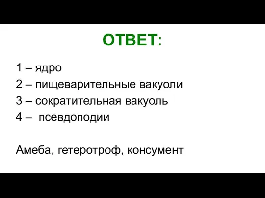 ОТВЕТ: 1 – ядро 2 – пищеварительные вакуоли 3 –