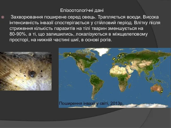 Епізоотологічні дані Захворювання поширене серед овець. Трапляється всюди. Висока інтенсивність