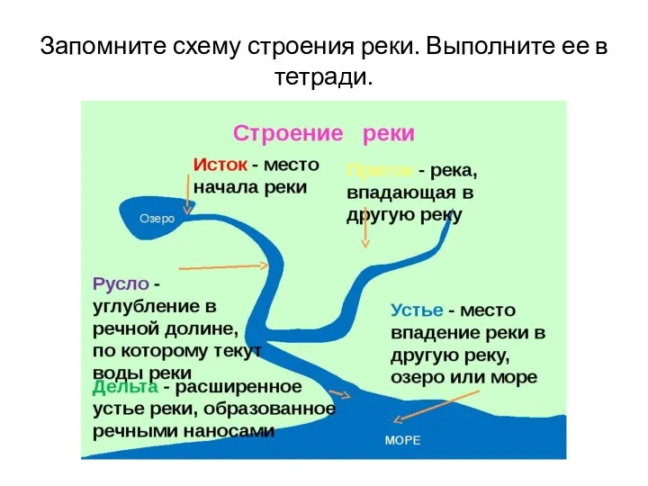 Запомните схему строения реки. Выполните ее в тетради.