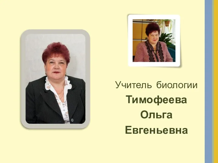 Учитель биологии Тимофеева Ольга Евгеньевна