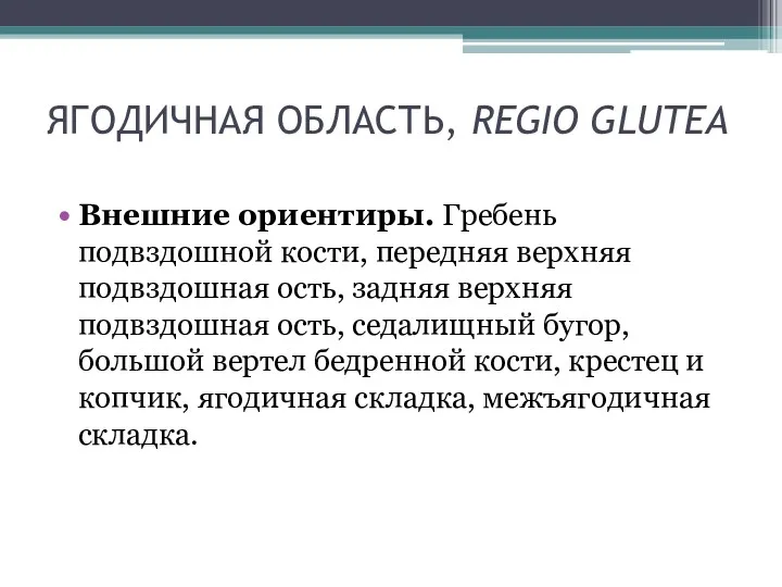 ЯГОДИЧНАЯ ОБЛАСТЬ, REGIO GLUTEA Внешние ориентиры. Гребень подвздошной кости, передняя