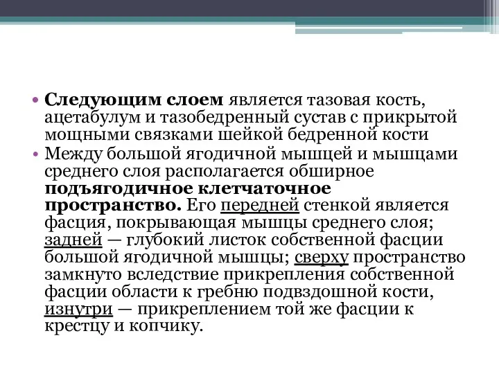 Следующим слоем является тазовая кость, ацетабулум и тазобедренный сустав с