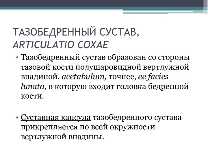 ТАЗОБЕДРЕННЫЙ СУСТАВ, ARTICULATIO СОХАЕ Тазобедренный сустав образован со стороны тазовой